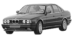 BMW E34 P2187 Fault Code